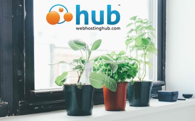 WebHostingHub WordPress Hosting Review