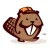 Beaver builder